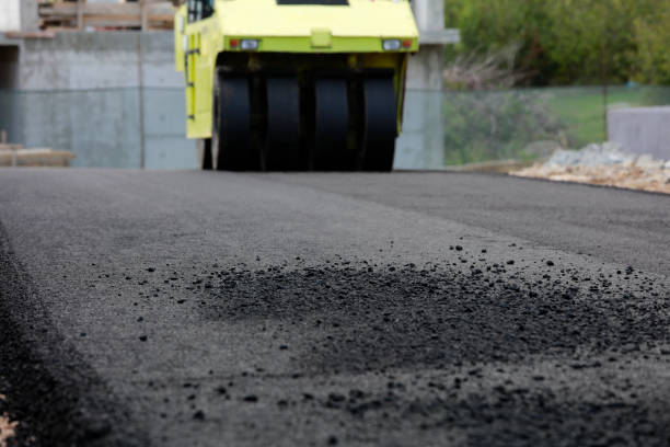 Best Driveway Pavers Near Me  in Homer Glen, IL