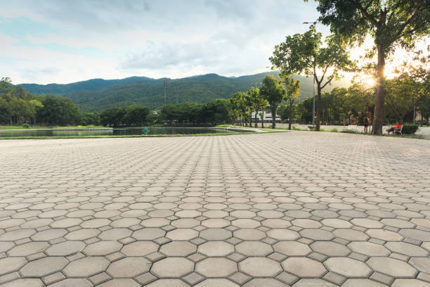 Best Concrete Paver Driveway  in Homer Glen, IL